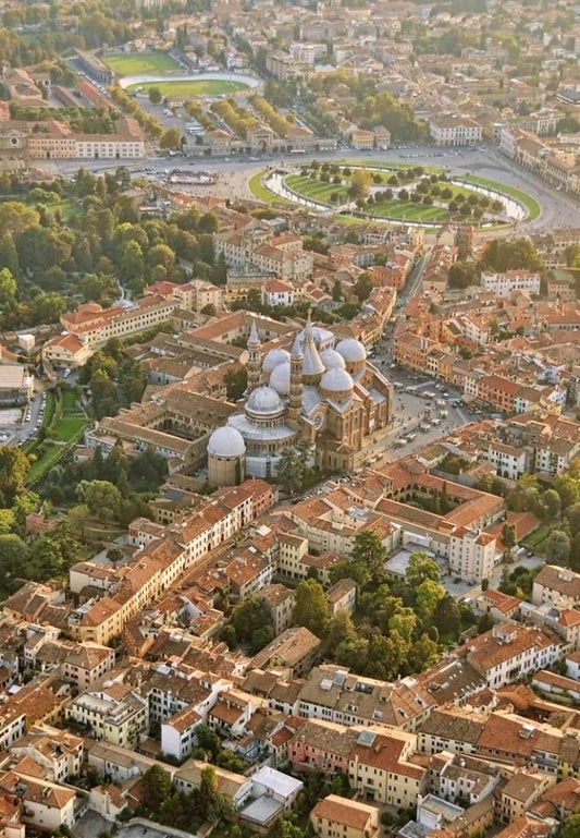 La macro-progettazione Biofilica