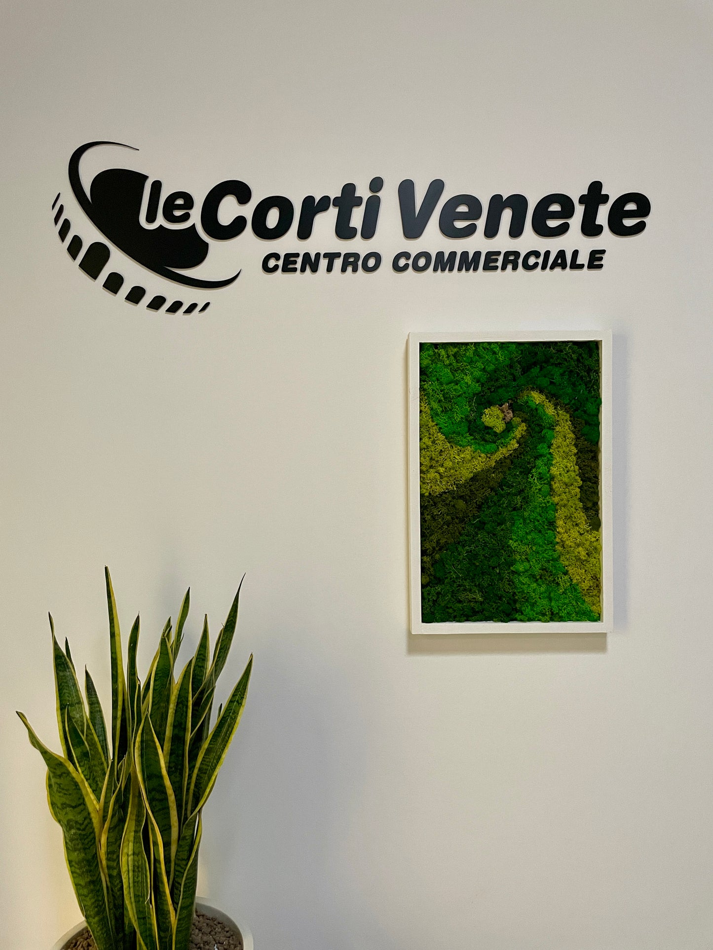 Giardino Verticale Spirale