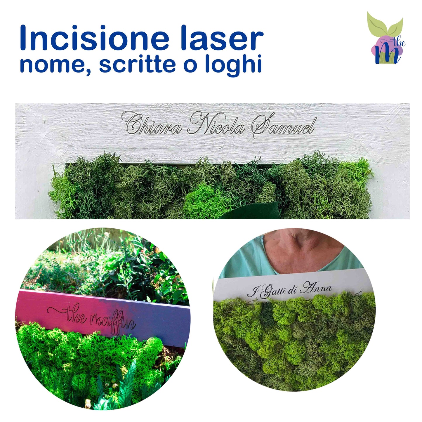 Piccoli Quadri Vegetali + Runa