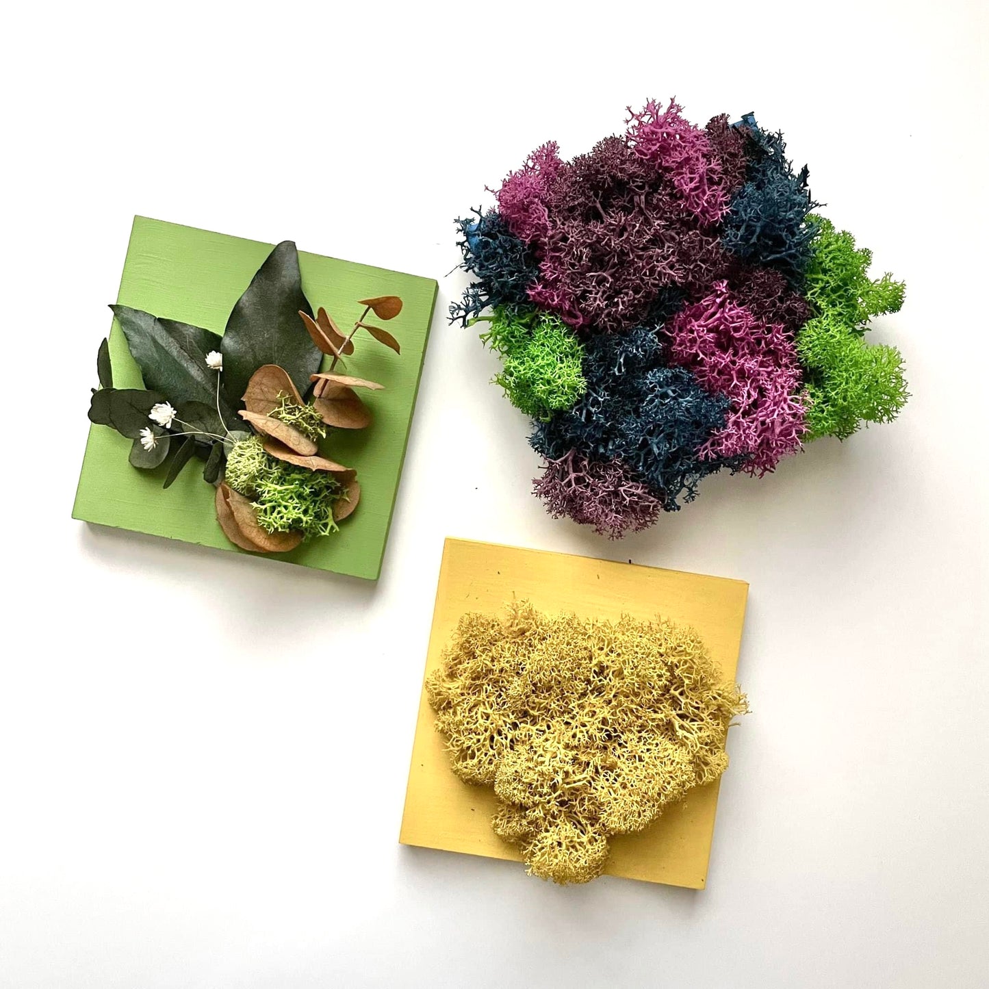 Mini Cornici vegetali - Box Mini MAFFIN x 3