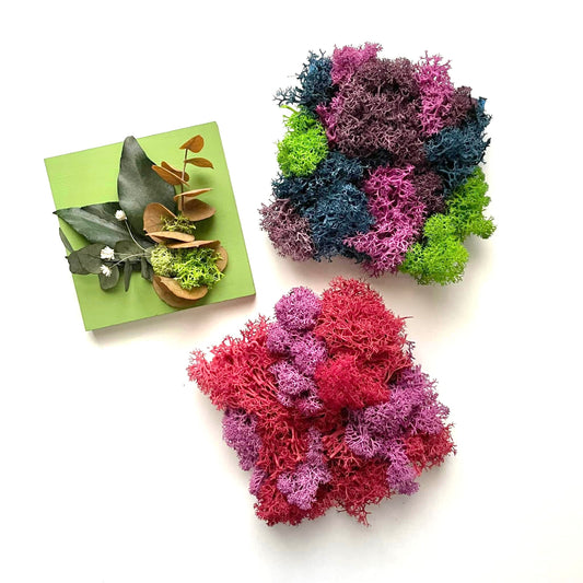 Mini assaggi Box Mini MAFFIN x 3