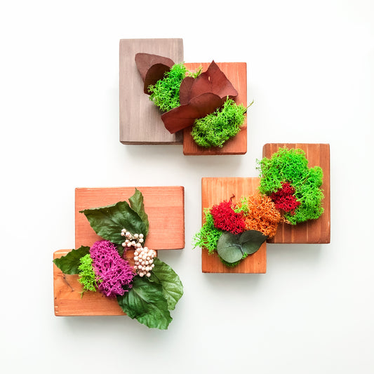 Mini assaggi Box Mini Sushi