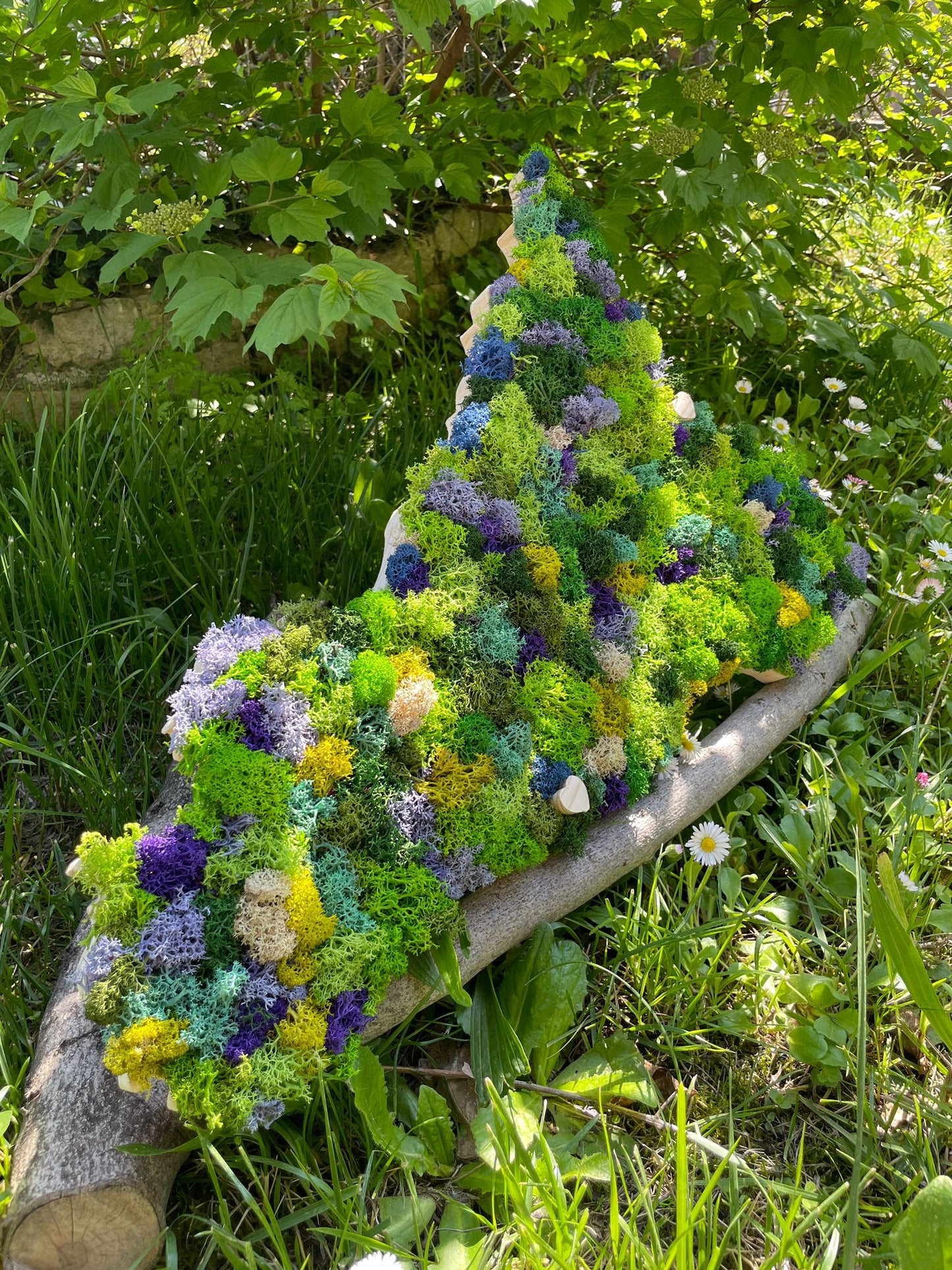 Regioni Giardino