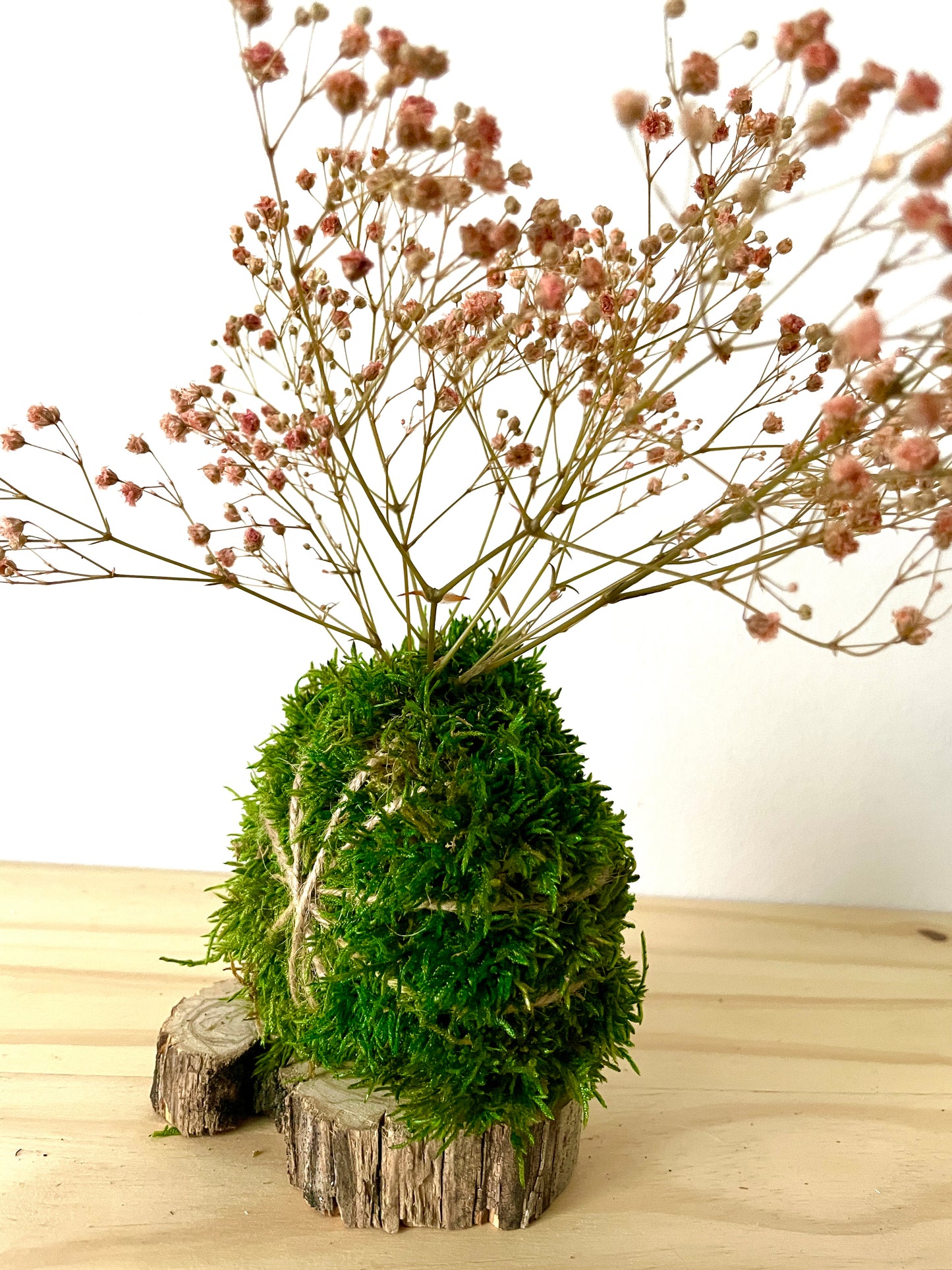 Kokedama