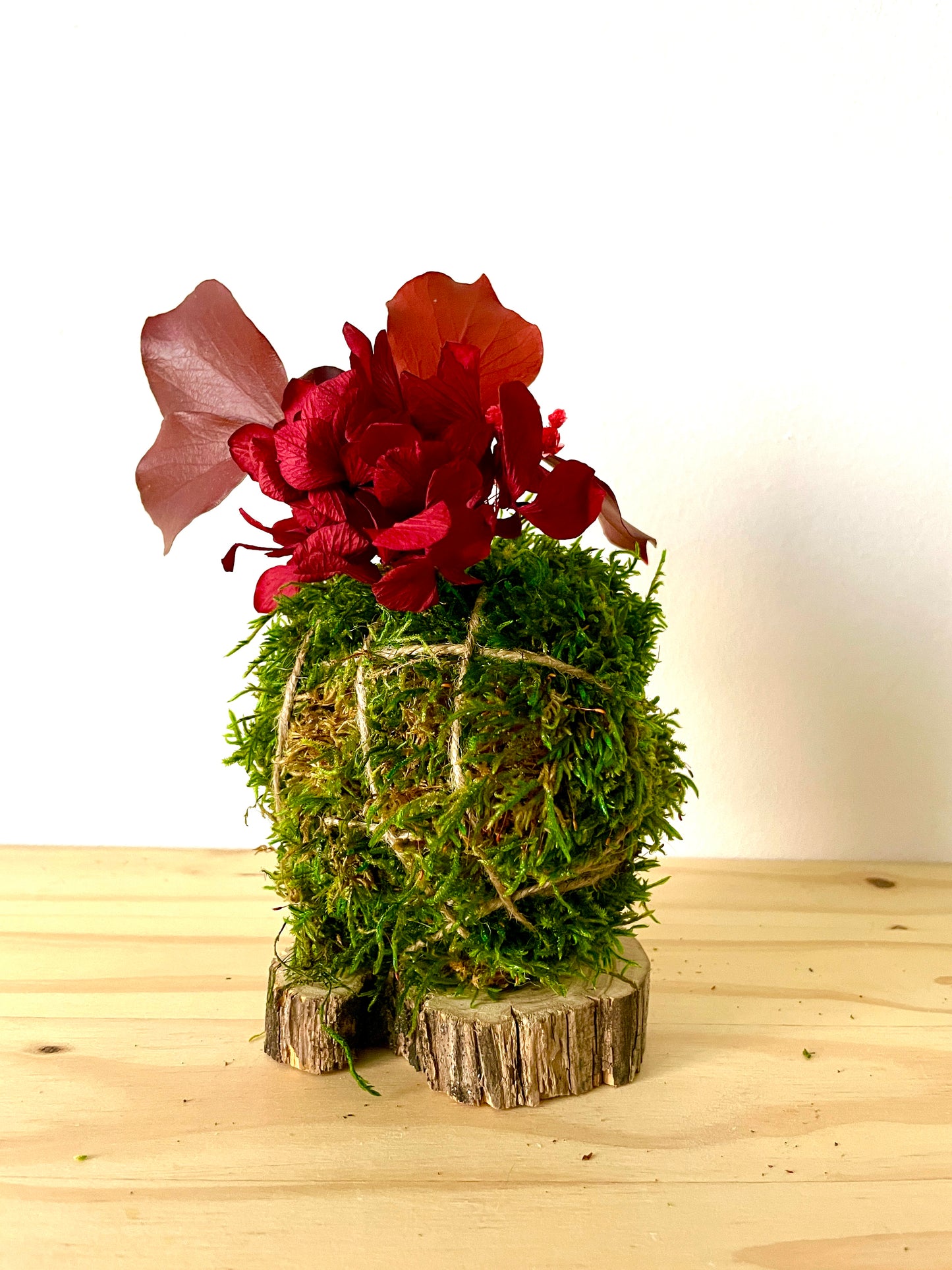 Kokedama