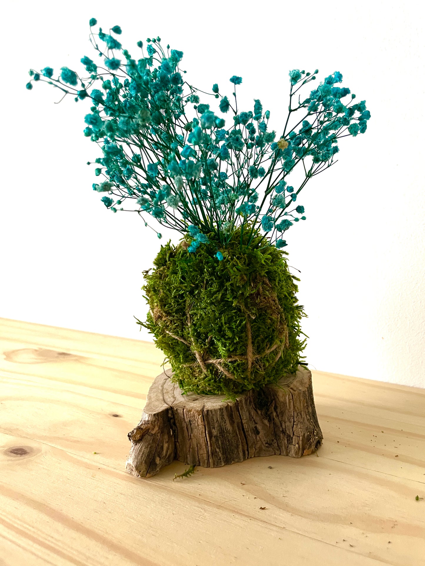 Kokedama