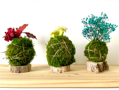 Kokedama