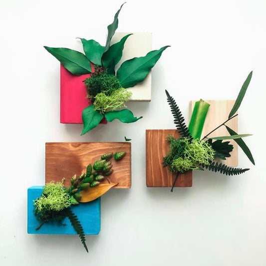 The Maffin Frame Quadri vegetali personalizzati in verde stabilizzato –  themaffinframe